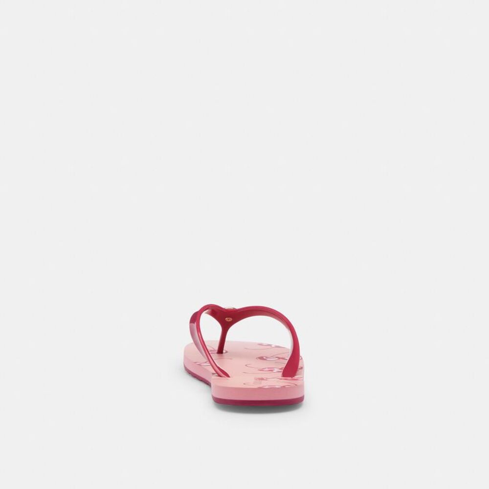 NWT Coach Outlet Zayn Flip Flop Fruit Print - Picture 4 of 7